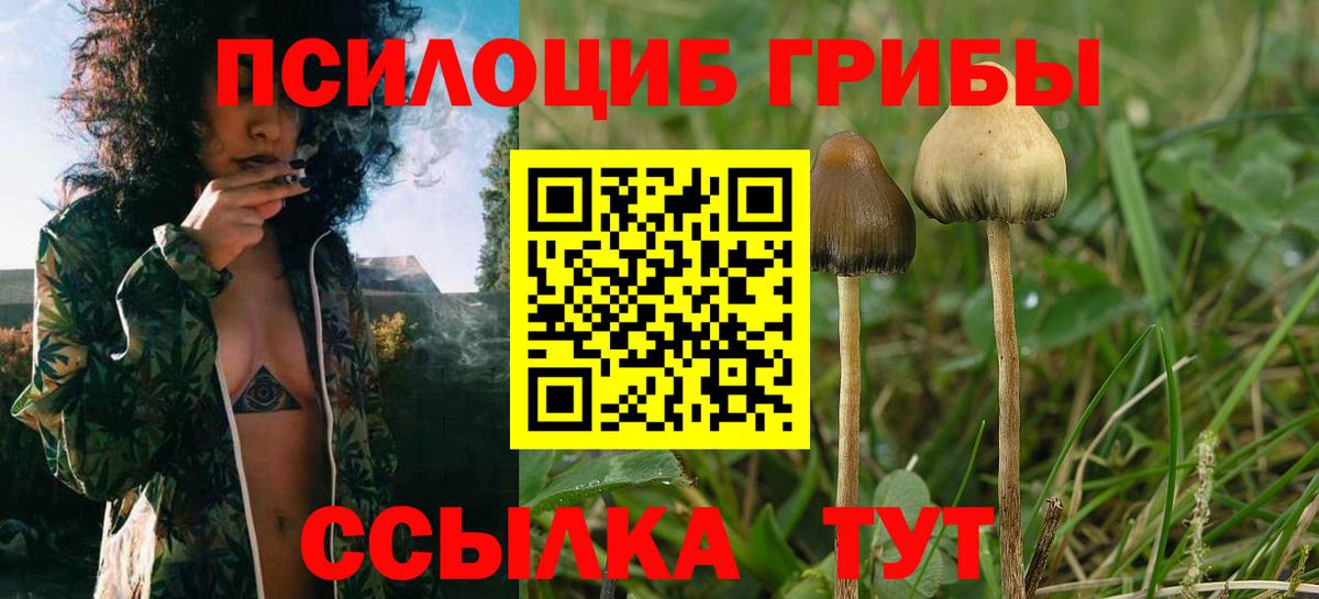 Галлюциногенные грибы ЛСД Кириши