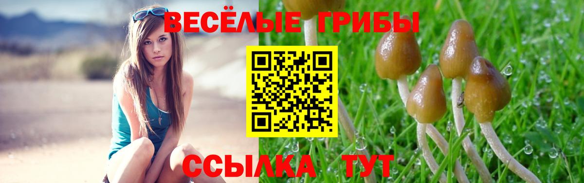 Галлюциногенные грибы ЛСД  Вход с VPN  Кириши 